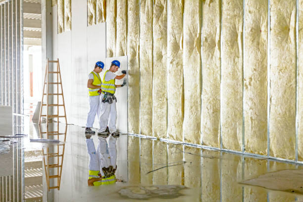 Best Eco-Friendly Insulation in Fords, NJ